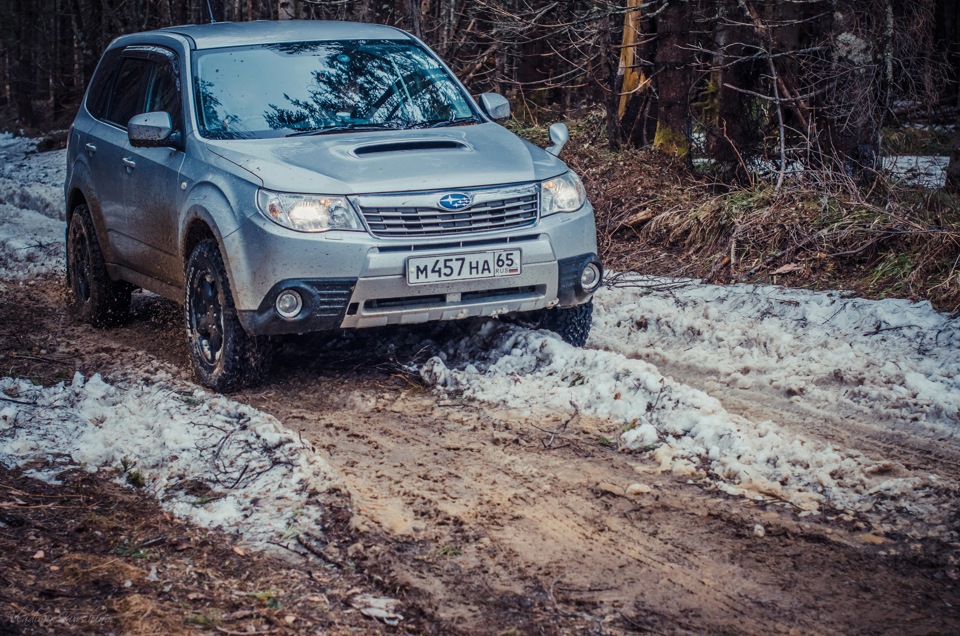 Фото в бортжурнале Subaru Forester (SG)