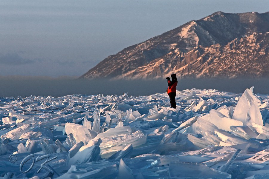 хивус байкал песчанка. остров шарга-даган. остров шарга-даган. хивус ольхон. байкал 2015 год.