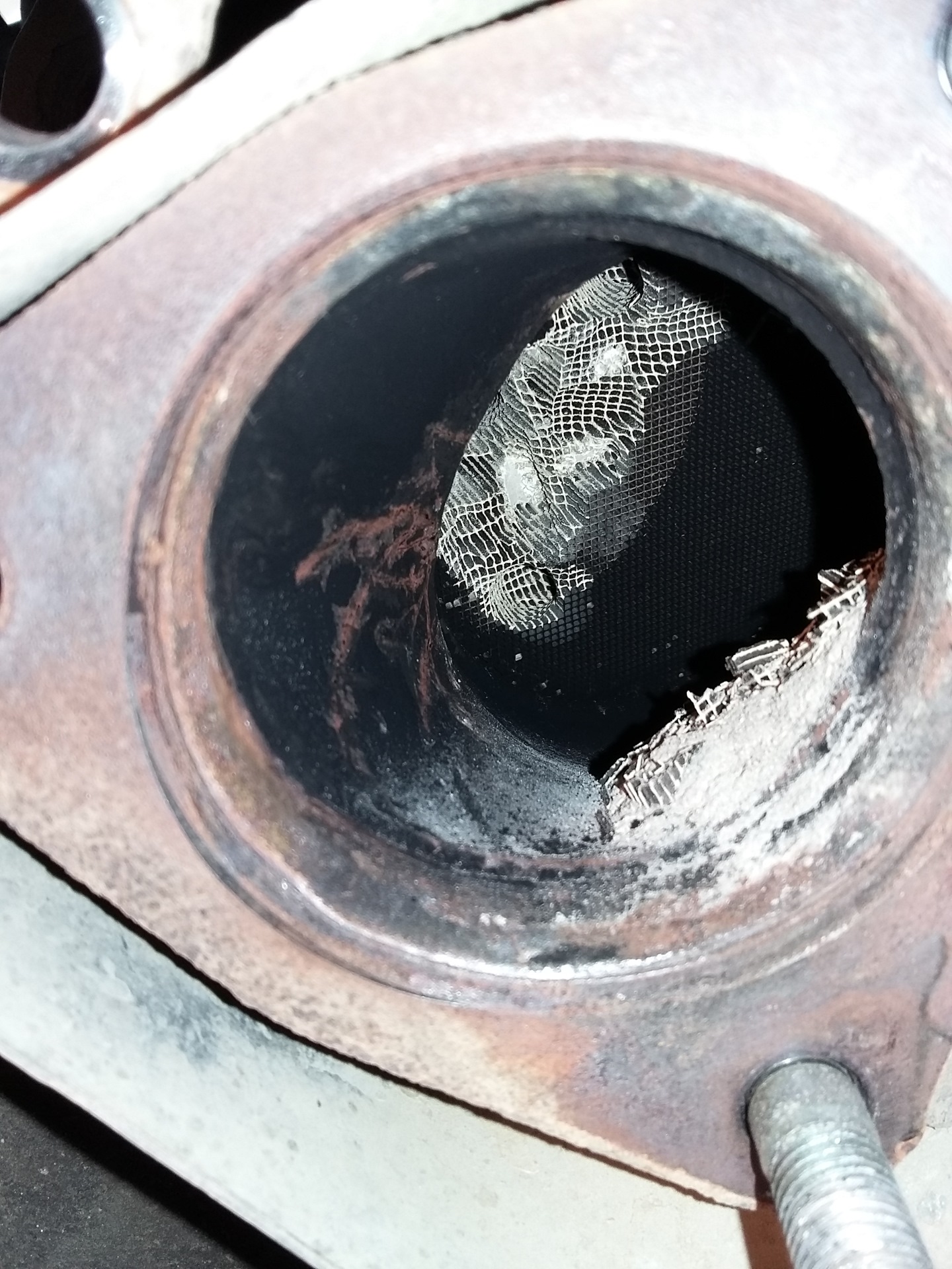 4 катализатор. Пламегаситель форд фокус 3 1. Удаление катализатора егр. Удаление катализатора мондео 3. Физ катализатор.