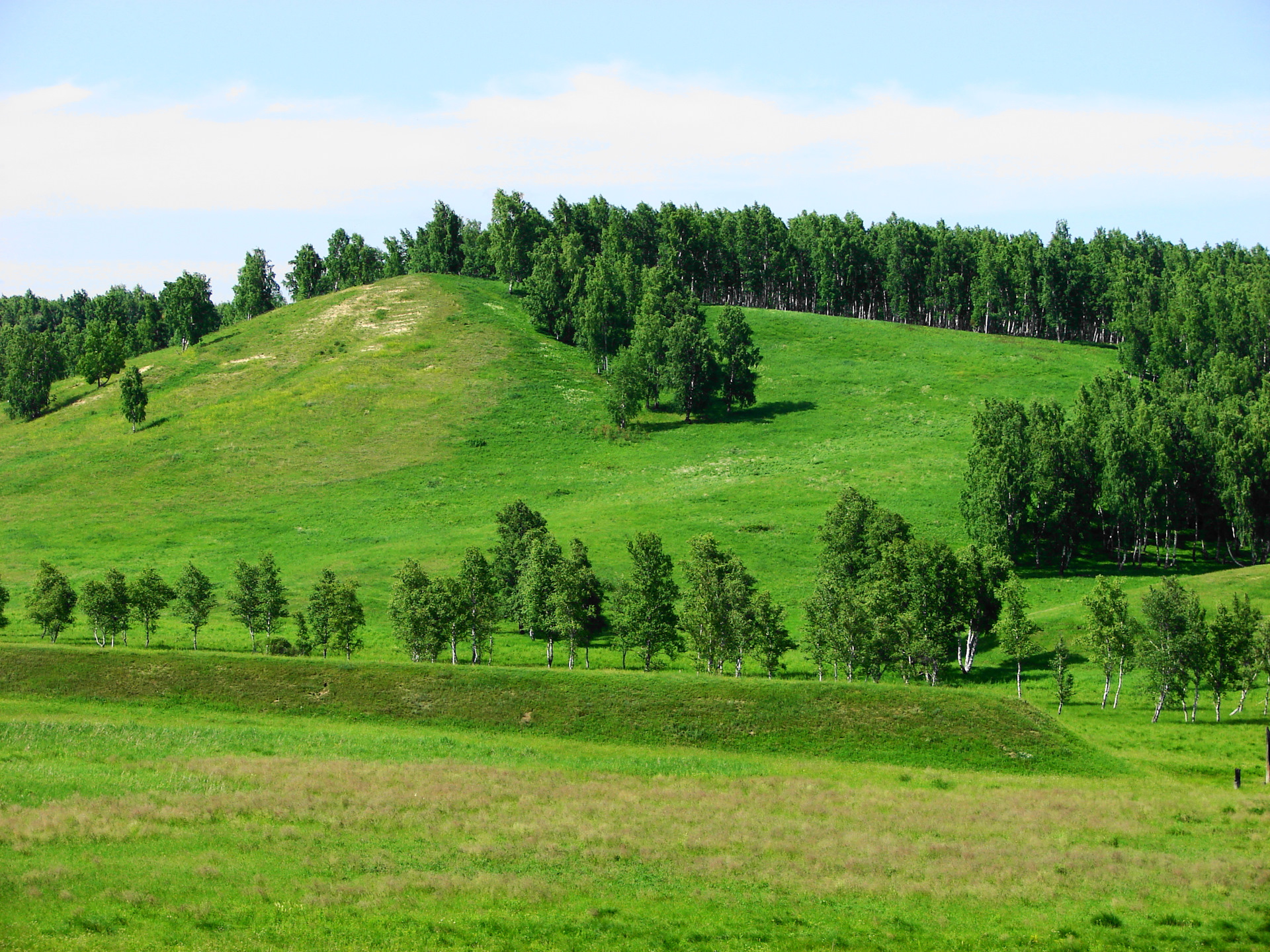 Заозерный Красноярский край парк. Заозерный Красноярский край Планета. Фото простор Красноярского края. Заозëрный Красноярский край природа.