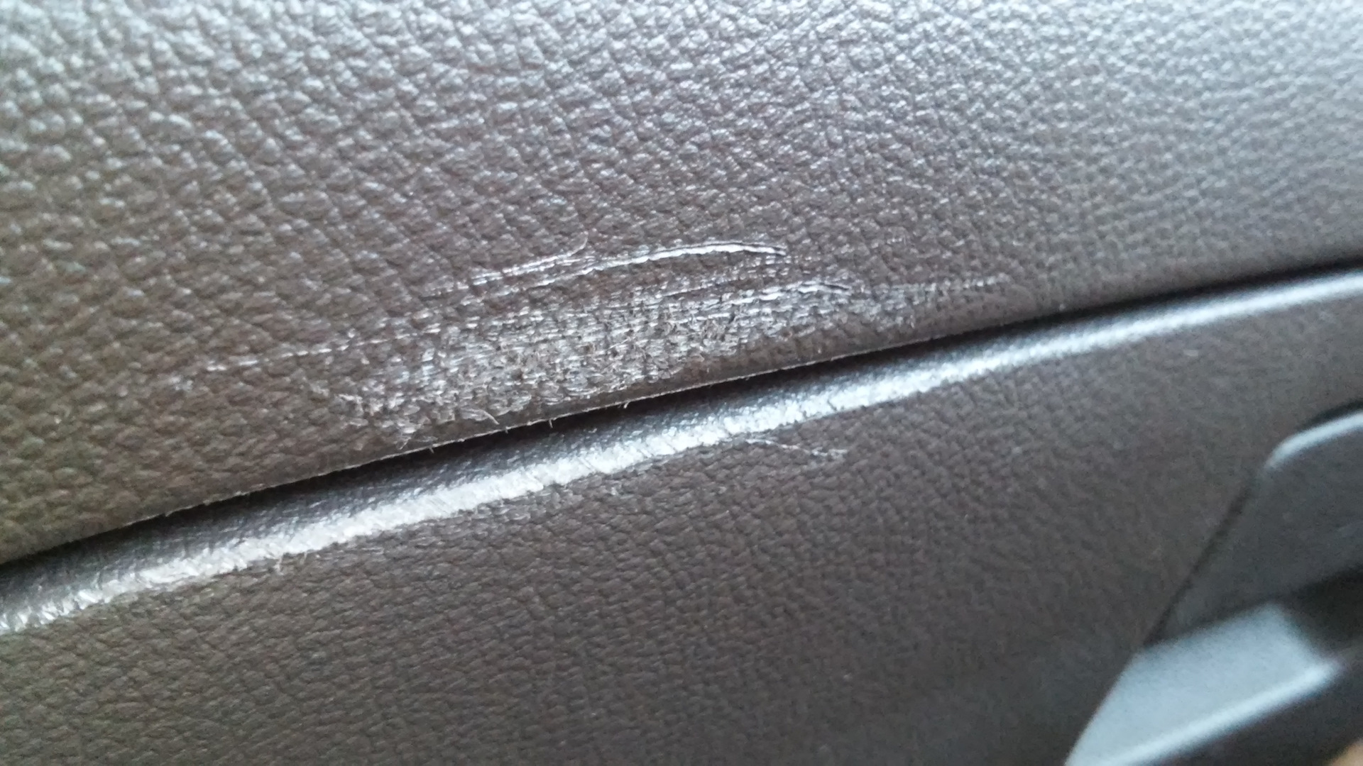 Залысина на ухе у котенка. Датсун ржавеет кузов. Облезть форум. Датсун ржавеет кузов. Облезть форум.