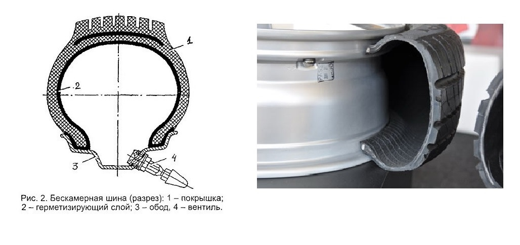 Шина в разрезе фото