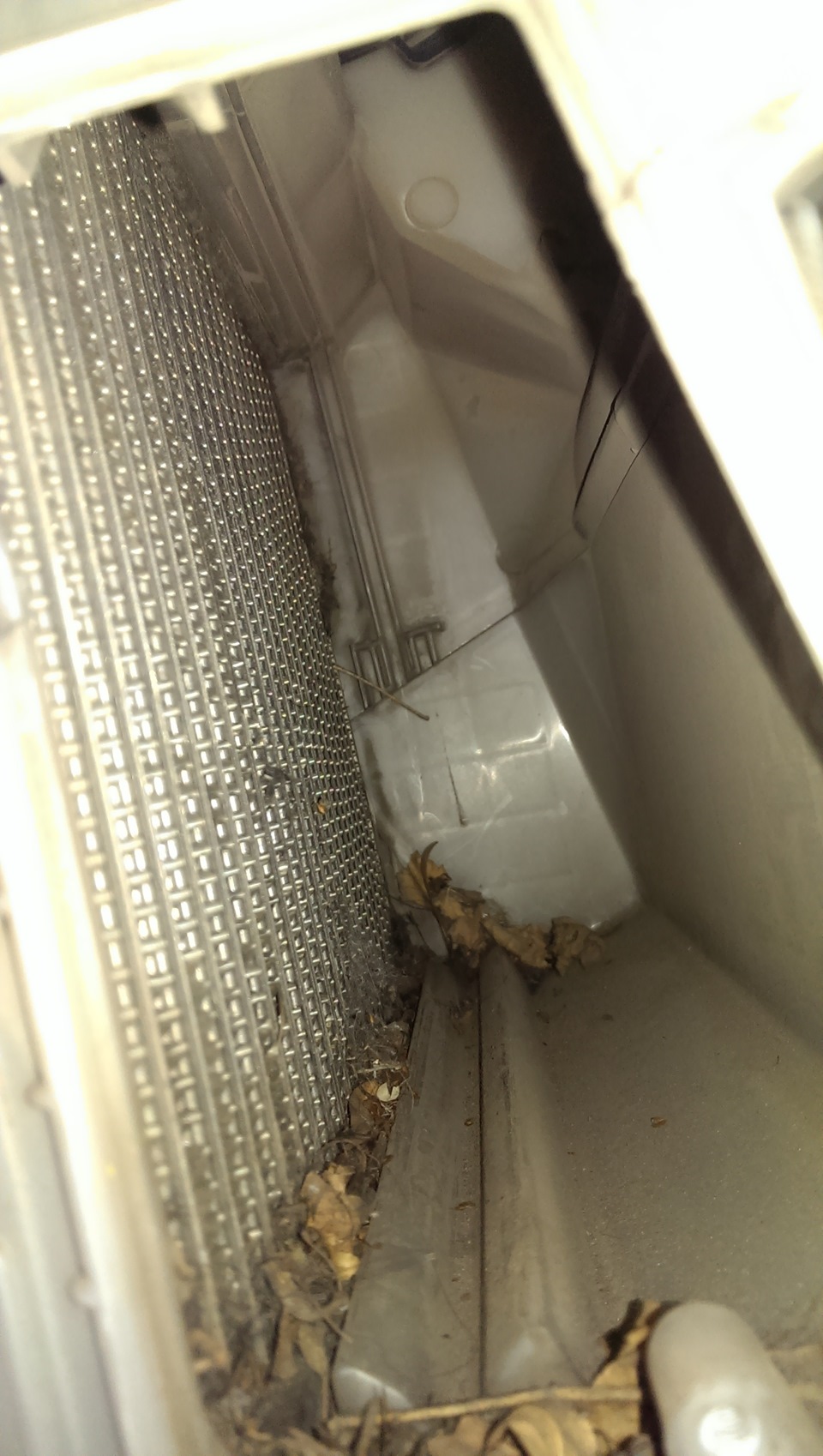 cg894as 960 Мазда 3 как поменять салонный фильтр