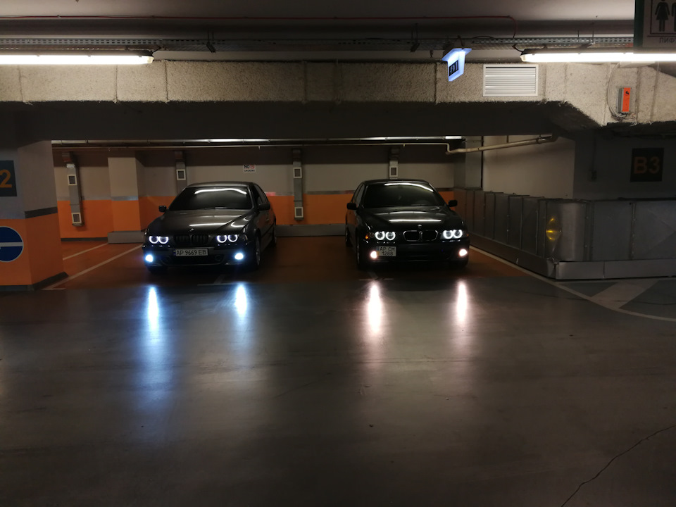 Фото в бортжурнале BMW 5 series (E39)