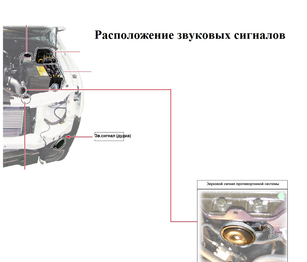 Звуковые сигналы посудомоечной машины. Схема расположения звукового сигнала. Штатное расположение звуковых сигналов. Deika расположение звуковых сигналов. Схема звукового сигнала Сузуки Витара 1.