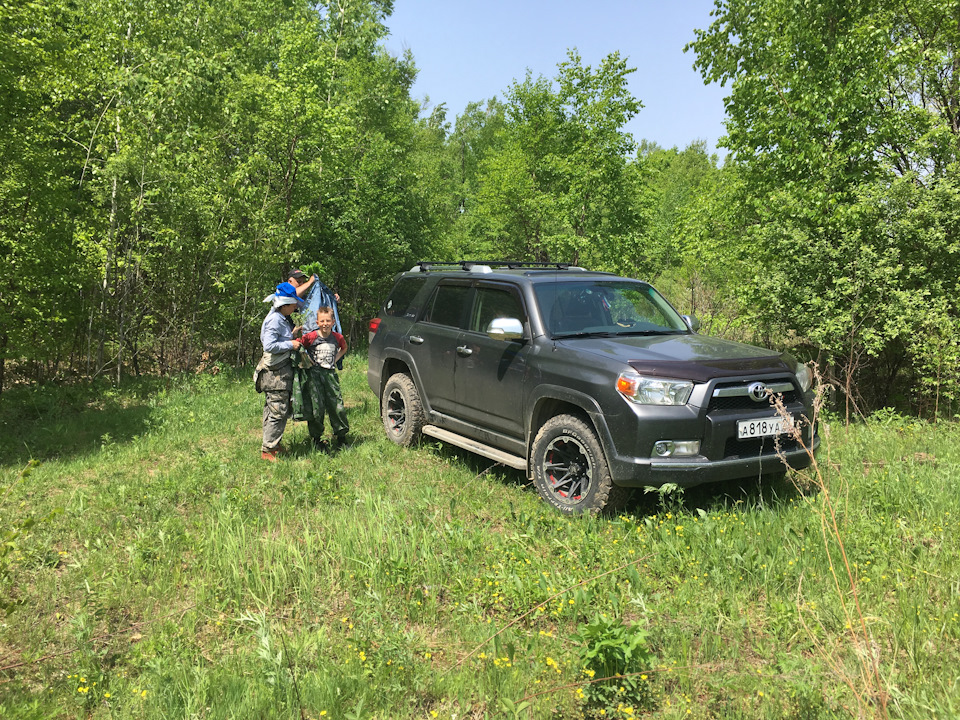 Дары природы — Toyota 4Runner V, 4 л, 2012 года | просто так | DRIVE2
