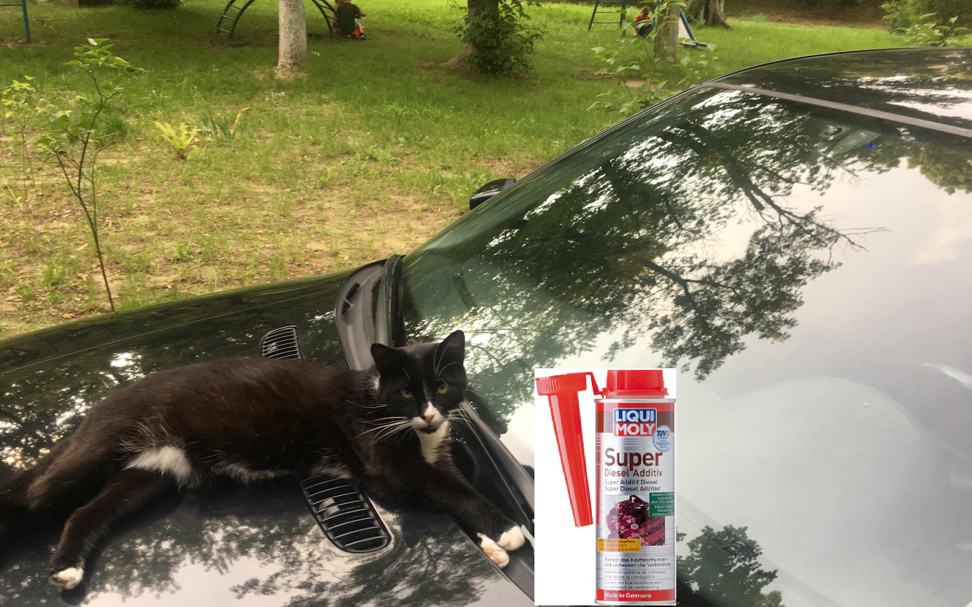 💊💉🌡🚀Присадка в дизельное топливо Liqui Moly Super Diesel Additiv — BMW  3 series (E46), 2 л, 1998 года | наблюдение | DRIVE2