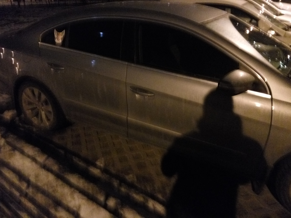 Тонировка авто люмар 50 процентов. Смотреть фото Тонировка авто люмар 50 процентов. Смотреть картинку Тонировка авто люмар 50 процентов. Картинка про Тонировка авто люмар 50 процентов. Фото Тонировка авто люмар 50 процентов
