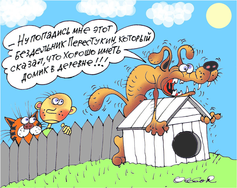 Веселые карикатуры. Карикатуры про деревню. Анекдоты про деревню в картинках. Домик в деревне карикатура.