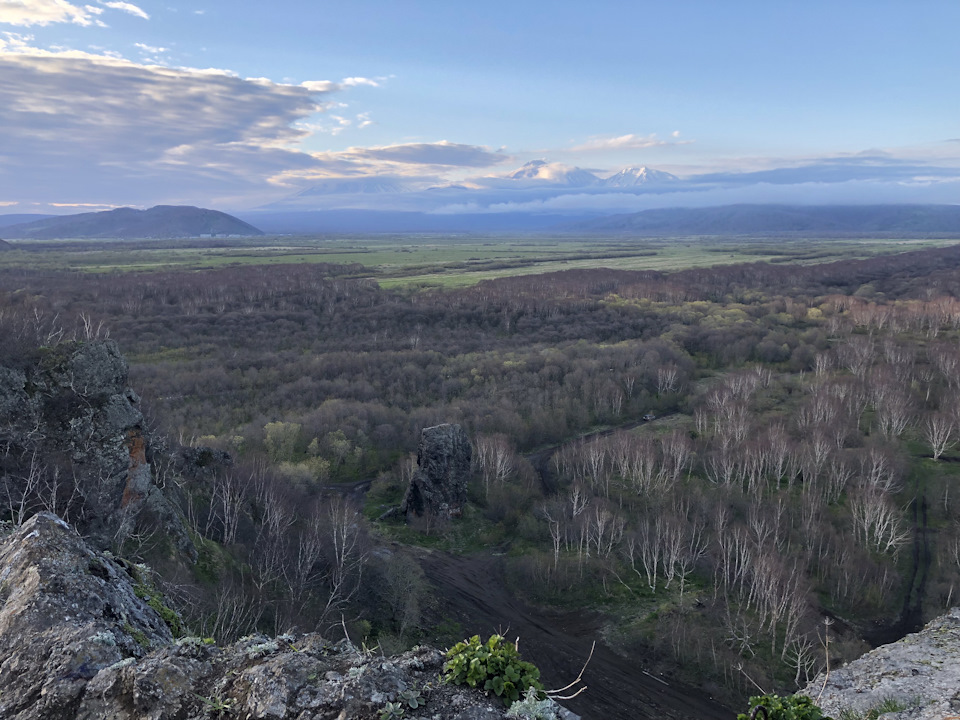 Как открутить шкив распредвала субару форестер - 98 фото