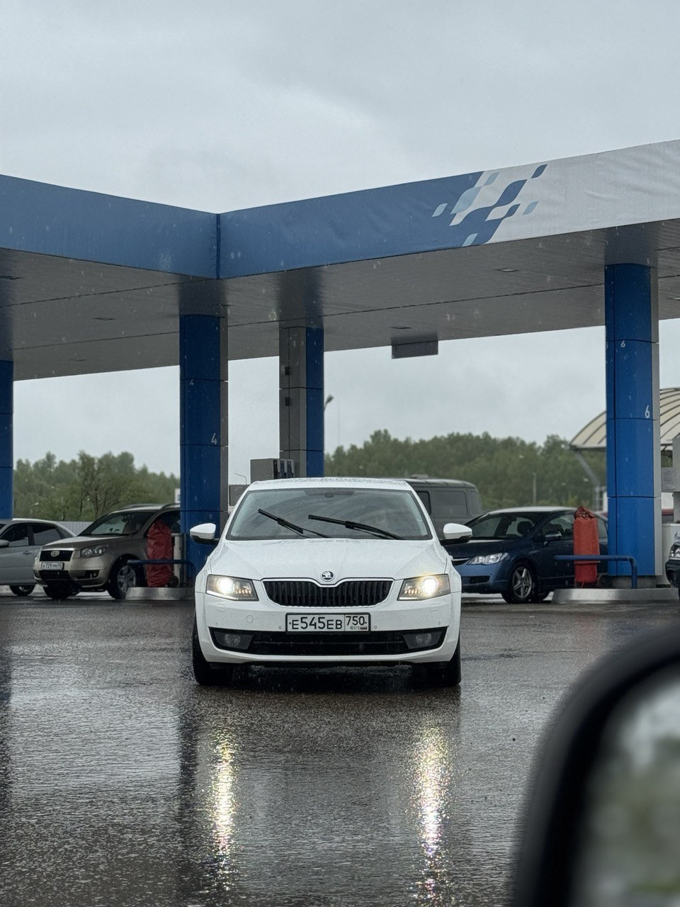 Покупка была похожа на авантюру — Skoda Octavia A7 Mk3, 1,8 л, 2013 года |  покупка машины | DRIVE2