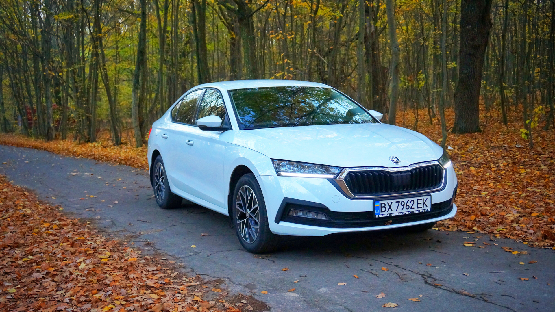 Skoda Octavia A8 Mk4 1.4 бензиновый 2020 | 1.4 tsi автомат на DRIVE2