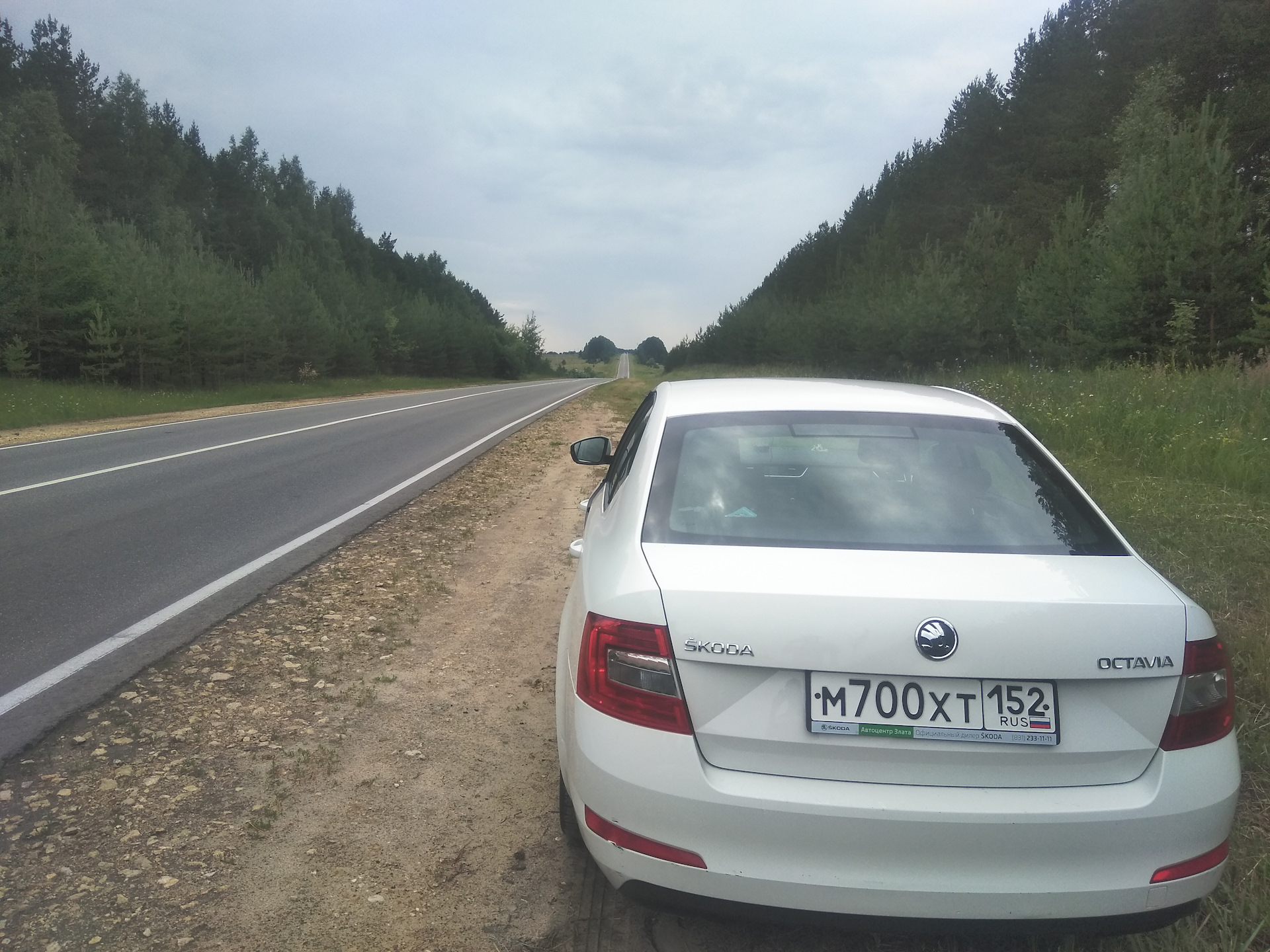 Нижний Новгород — Геленджик. Часть-1)) — Skoda Octavia A7 Mk3, 1,2 л, 2013  года | путешествие | DRIVE2