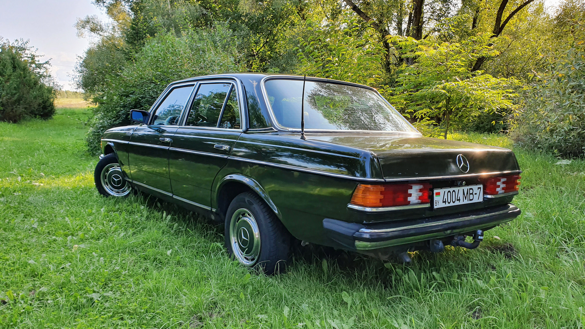 Mercedes-Benz W123 3.0 дизельный 1983 | Зелёный тис на DRIVE2