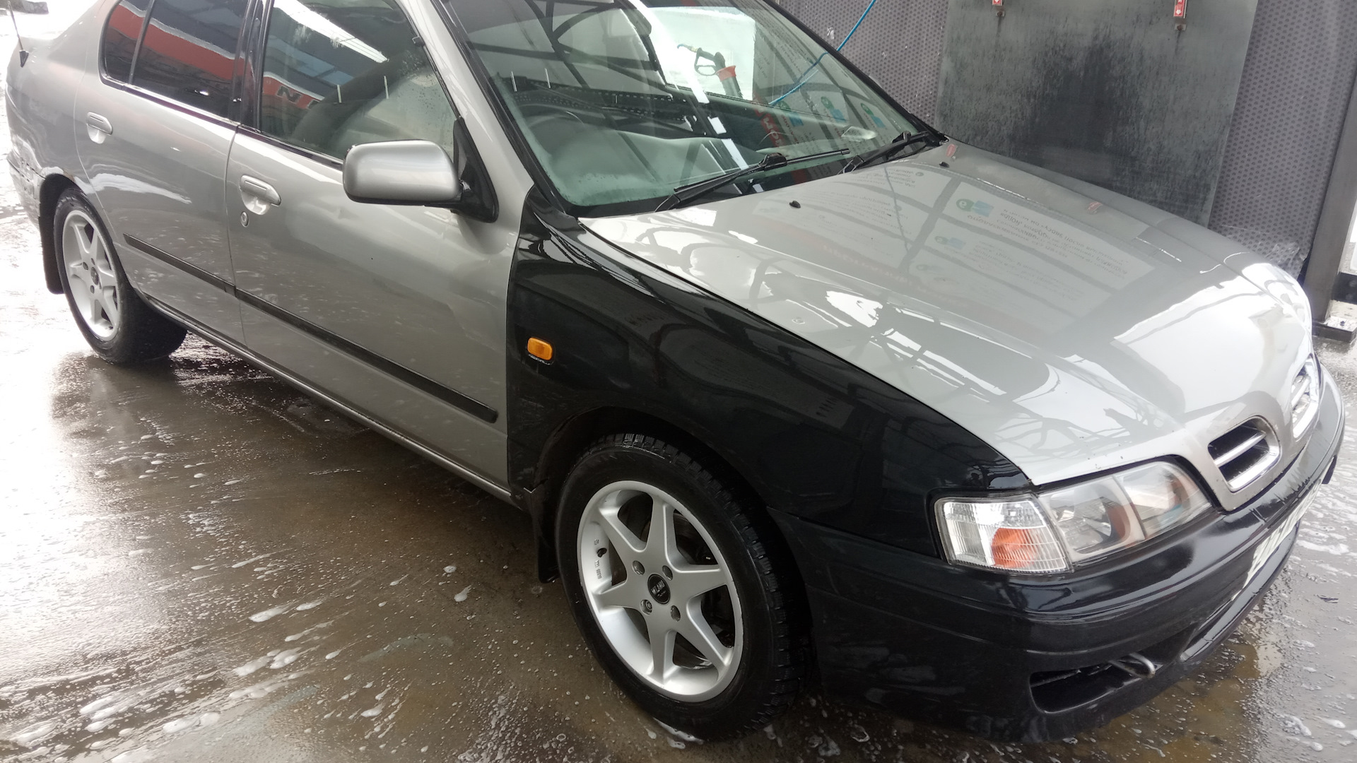 Nissan Primera (P11) 1.8 бензиновый 2000 | Camino Сокол Тысячелетия на  DRIVE2