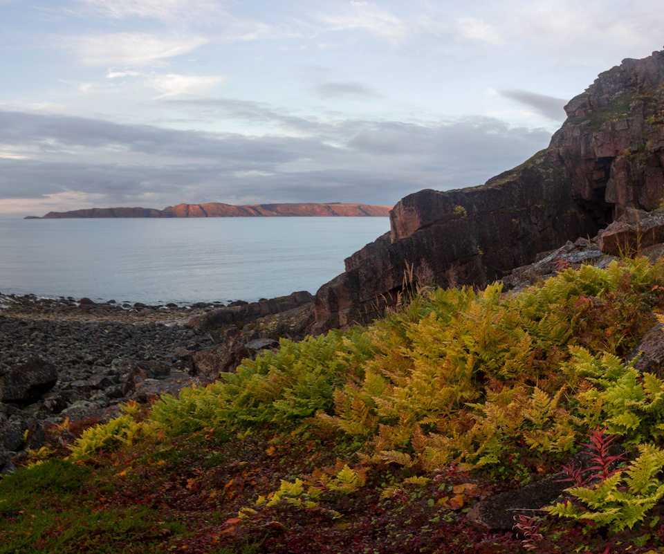 какая еще страна чудес. Смотреть фото какая еще страна чудес. Смотреть картинку какая еще страна чудес. Картинка про какая еще страна чудес. Фото какая еще страна чудес какая еще страна чудес. Смотреть фото какая еще страна чудес. Смотреть картинку какая еще страна чудес. Картинка про какая еще страна чудес. Фото какая еще страна чудес