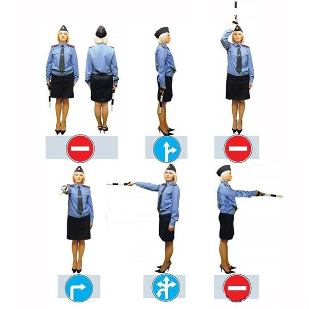 Кар пас по вин — Opel Signum, 2,2 л, 2003 года | наблюдение | DRIVE2