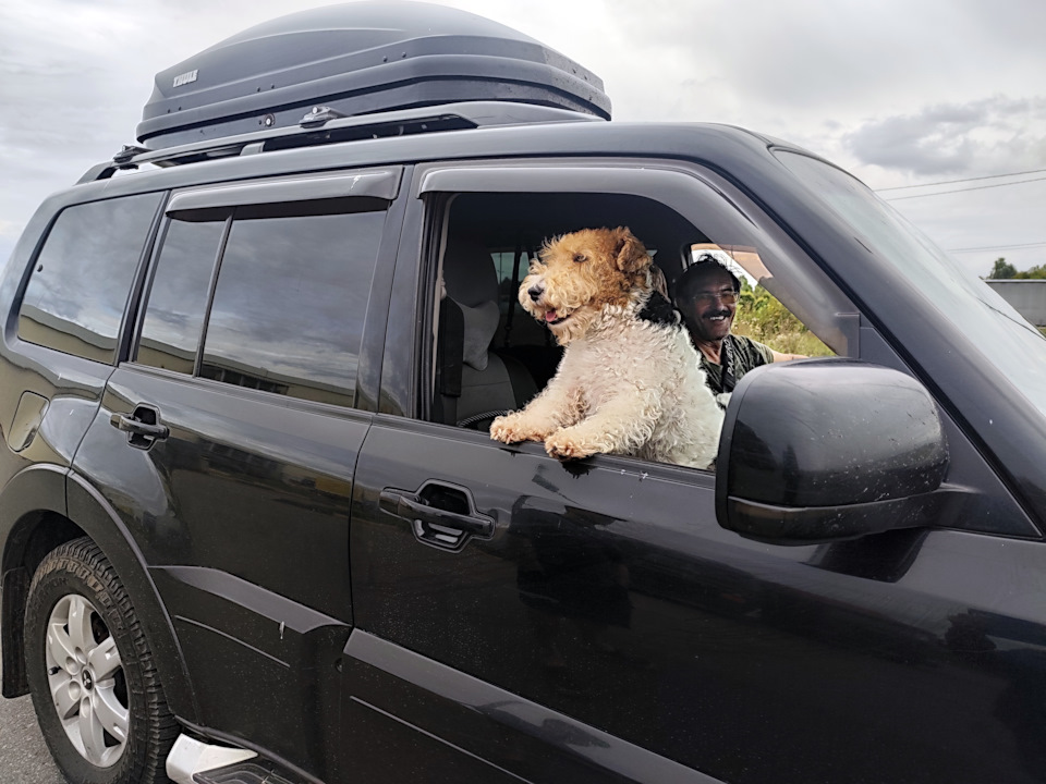 Фото в бортжурнале Mitsubishi Pajero (4G)