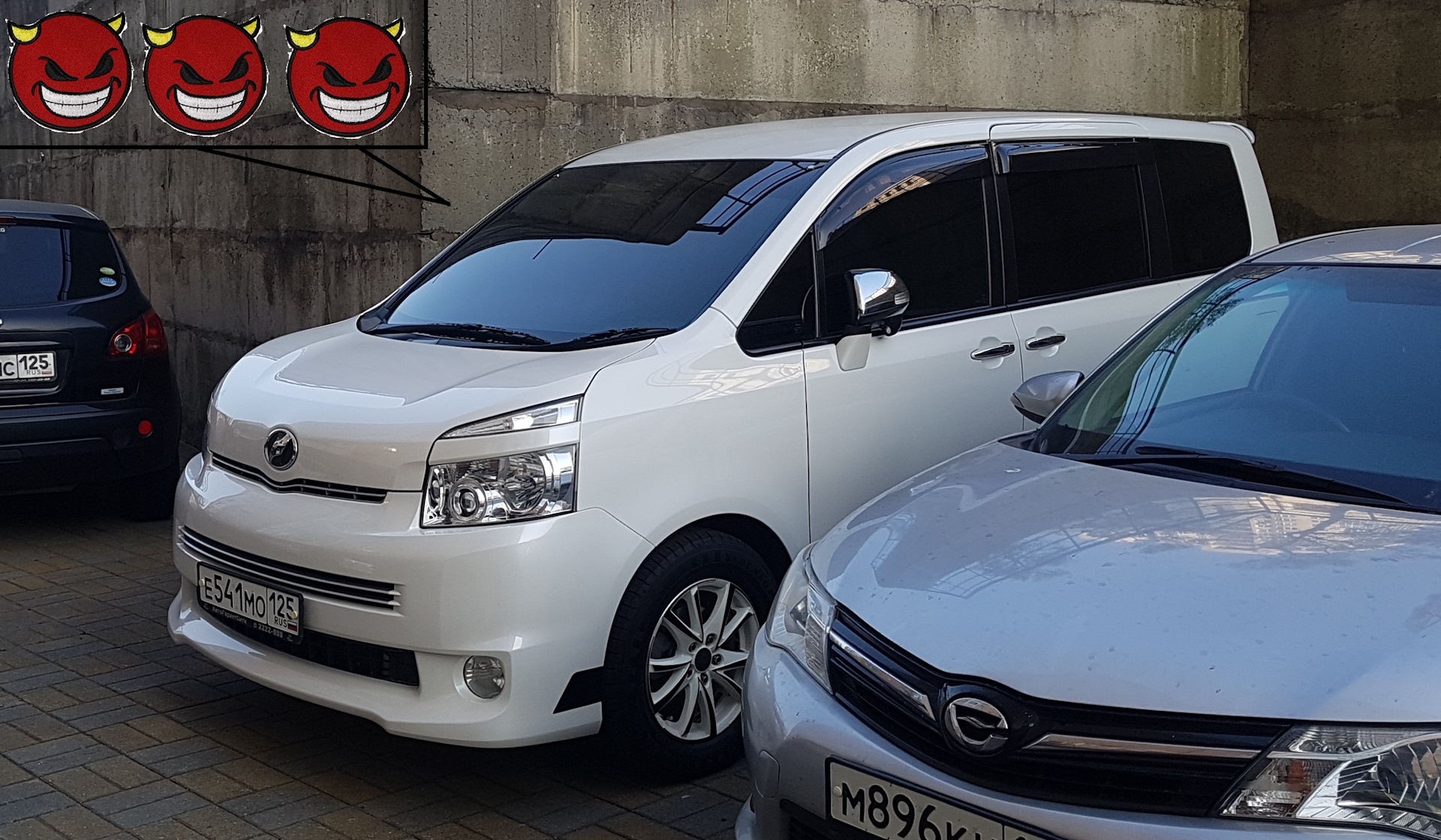 Дром toyota. Toyota Noah 2011 тонировка. Тойота Вокси тонировка. Тонировка Тойота Ноах. Вокси в тонировке.