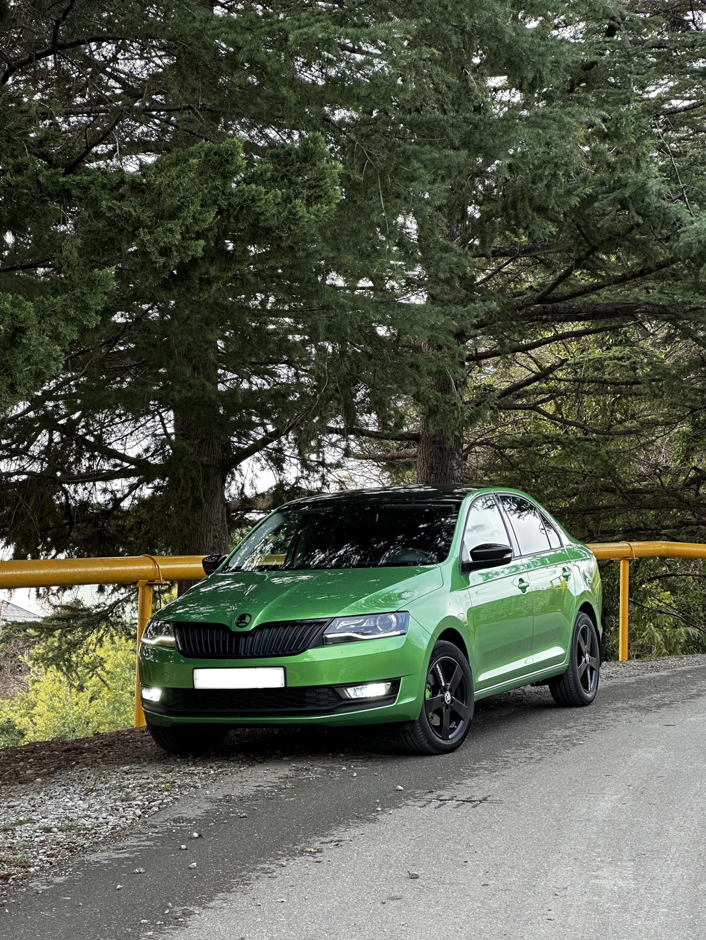 Задолбала подушка двигателя. — Skoda Rapid (1G), 1,4 л, 2019 года | своими  руками | DRIVE2