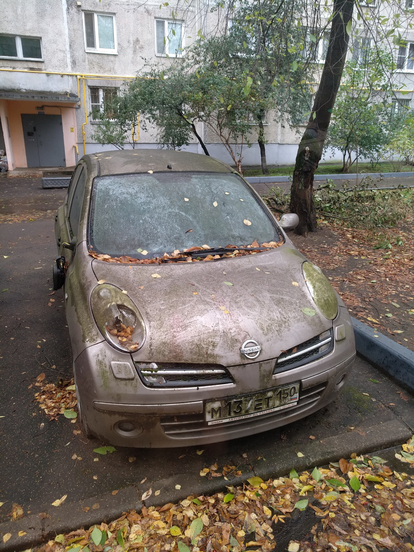 Ниссан Микра Балашиха — Сообщество «Брошенные Машины» на DRIVE2
