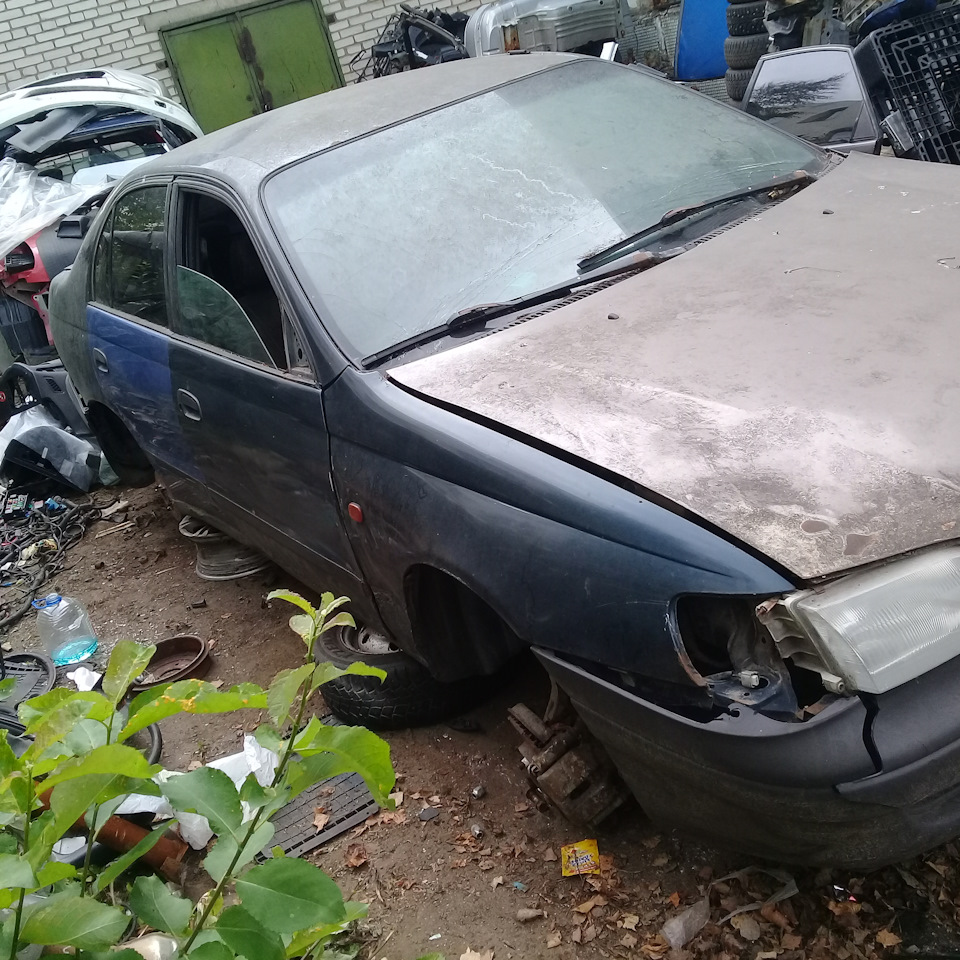 Разборка Toyota Carina e 1995 год 1.6 4afe на Toyota Carina E, Toyota  Corona (T190), Toyota Corona Premio (T210). Б/у | 1 000 ₽ в городе Санкт- Петербург | DRIVE2