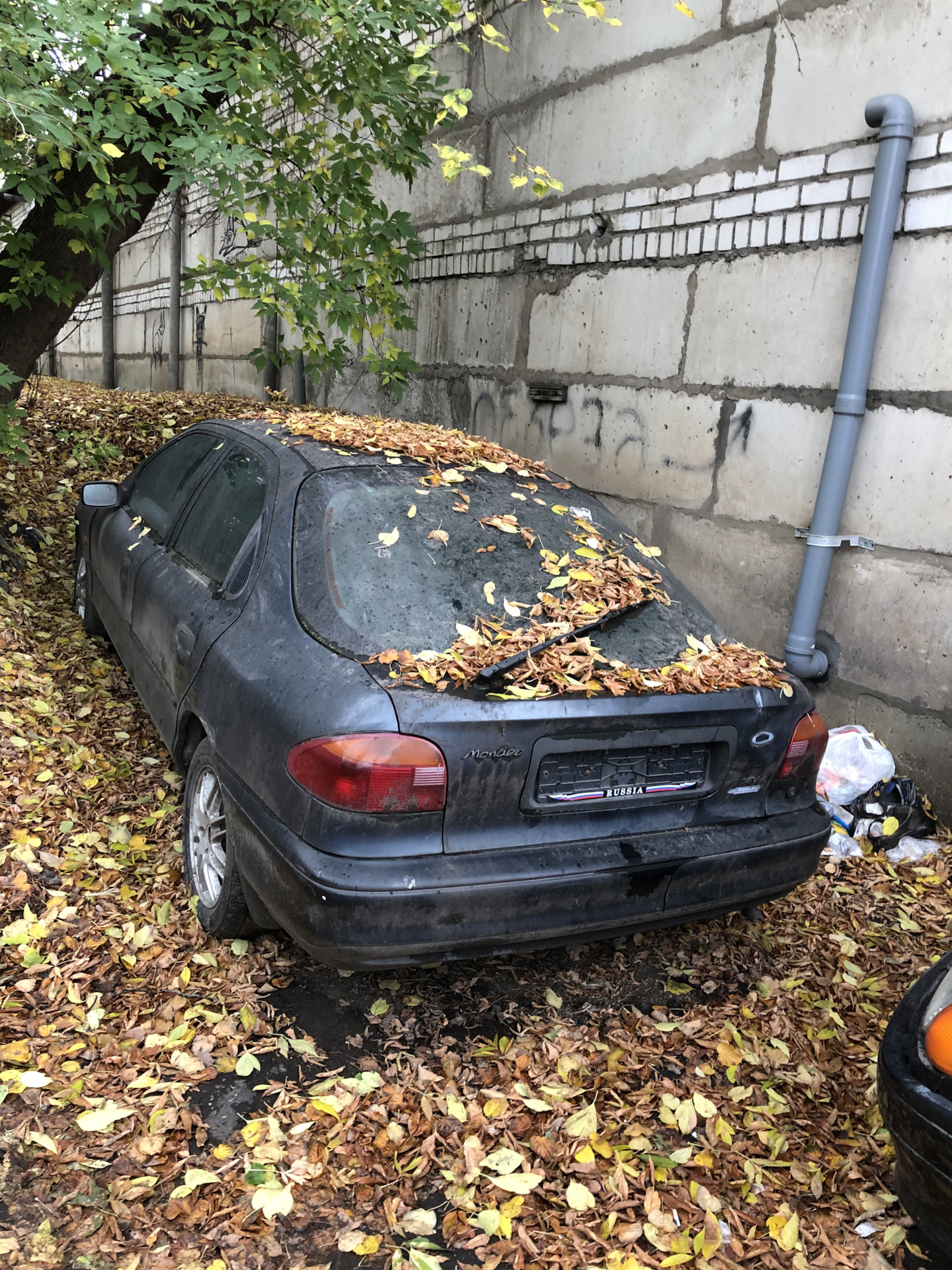 брошенные автомобили в москве