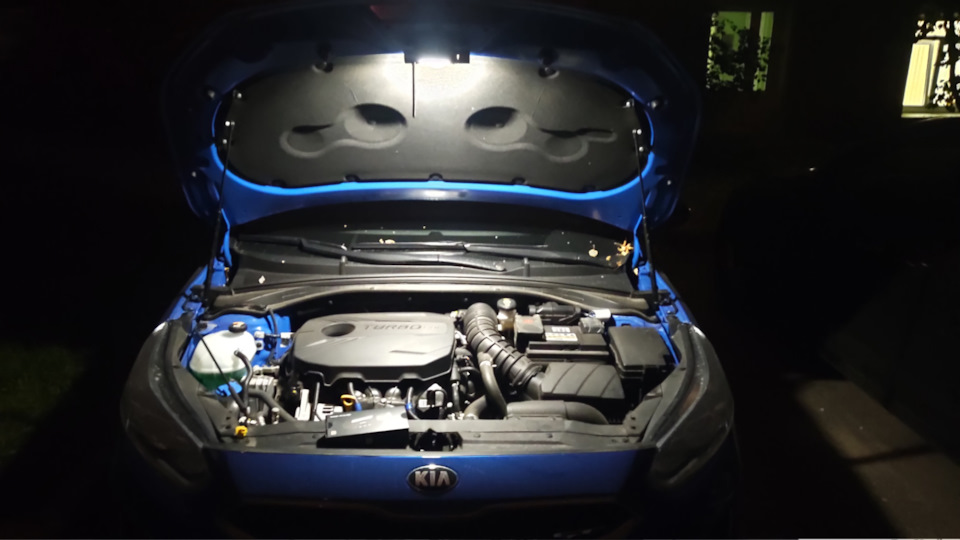 Фото в бортжурнале KIA Proceed