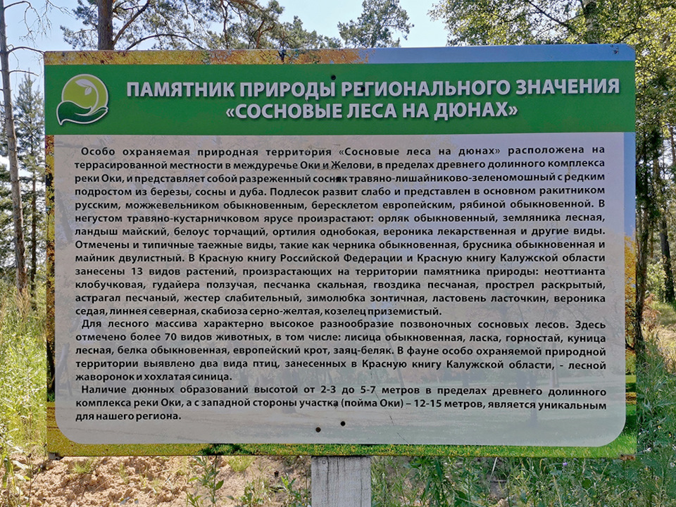 деревья в калужской области какие растут. Смотреть фото деревья в калужской области какие растут. Смотреть картинку деревья в калужской области какие растут. Картинка про деревья в калужской области какие растут. Фото деревья в калужской области какие растут