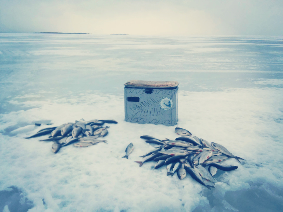 Фото в бортжурнале Chevrolet Niva (1G)