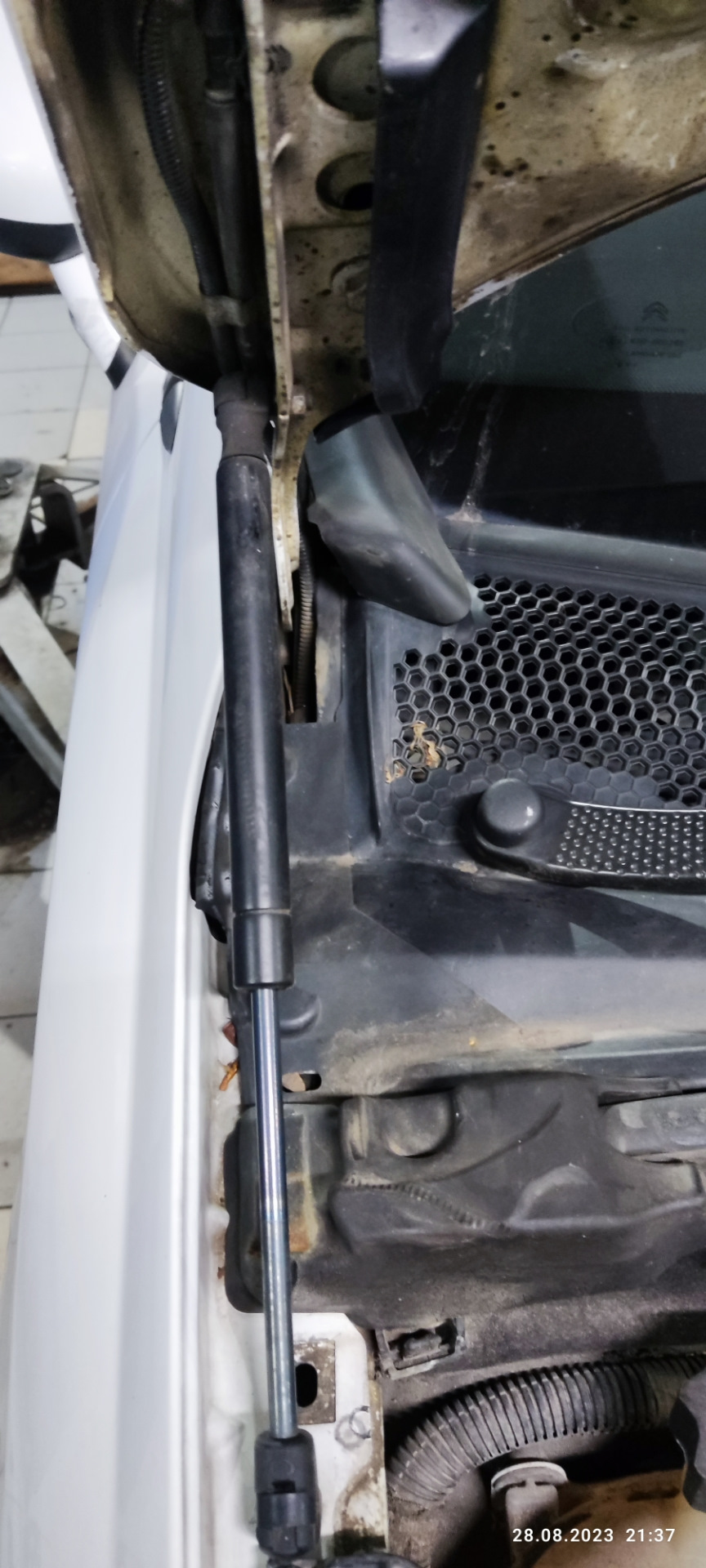 Установил накладки на петли капота — Citroen C4 L, 1,6 л, 2016 года ...