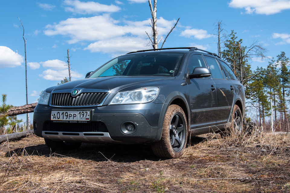 Skoda Octavia Scout антенна