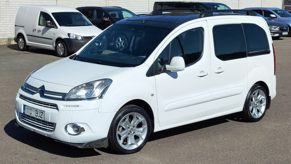 Citroen Berlingo Опять белка 🐿️