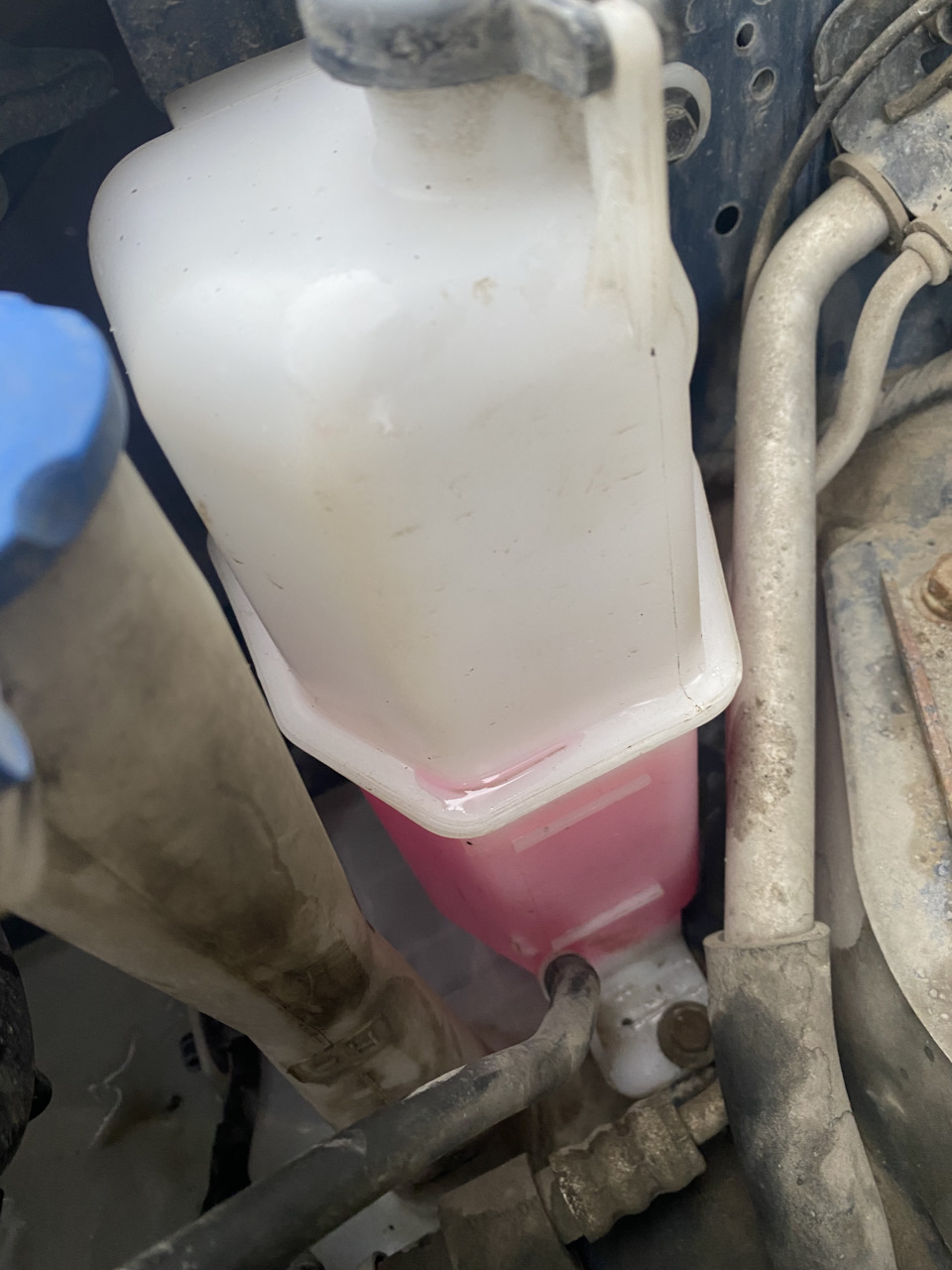 Переход на розовый антифриз A-110 — Hyundai Elantra (4G), 1,6 л, 2008 ...