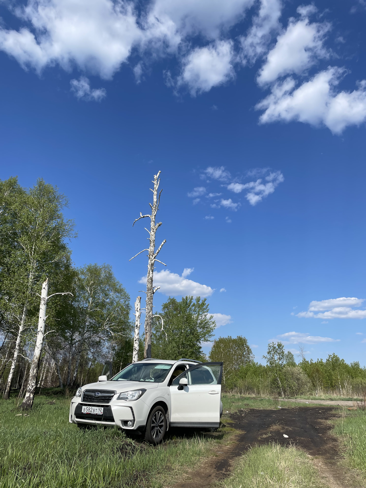 Новосибирск-Москва-Севастополь — Subaru Forester (SJ), 2 л, 2017 года |  путешествие | DRIVE2