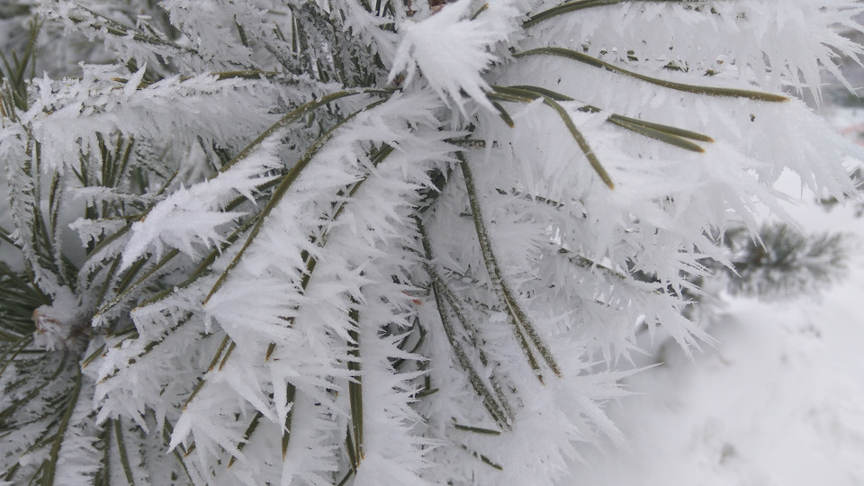 Фото в бортжурнале KIA Sorento (2G)