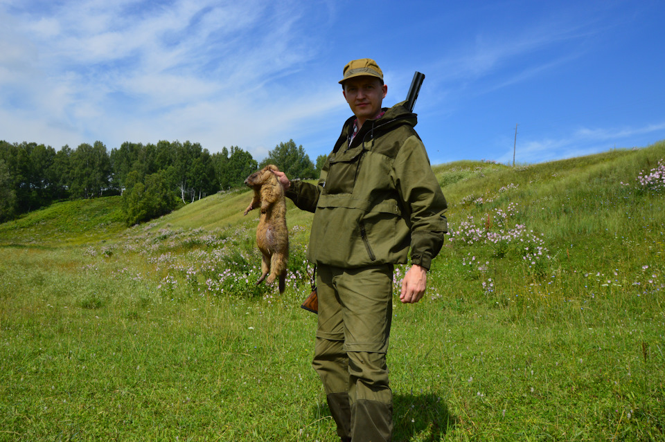 какая дробь на сурка. Смотреть фото какая дробь на сурка. Смотреть картинку какая дробь на сурка. Картинка про какая дробь на сурка. Фото какая дробь на сурка какая дробь на сурка. Смотреть фото какая дробь на сурка. Смотреть картинку какая дробь на сурка. Картинка про какая дробь на сурка. Фото какая дробь на сурка
