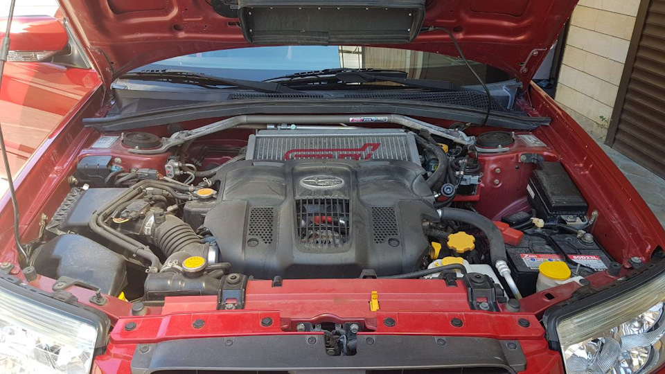 Фото в бортжурнале Subaru Forester (SG)