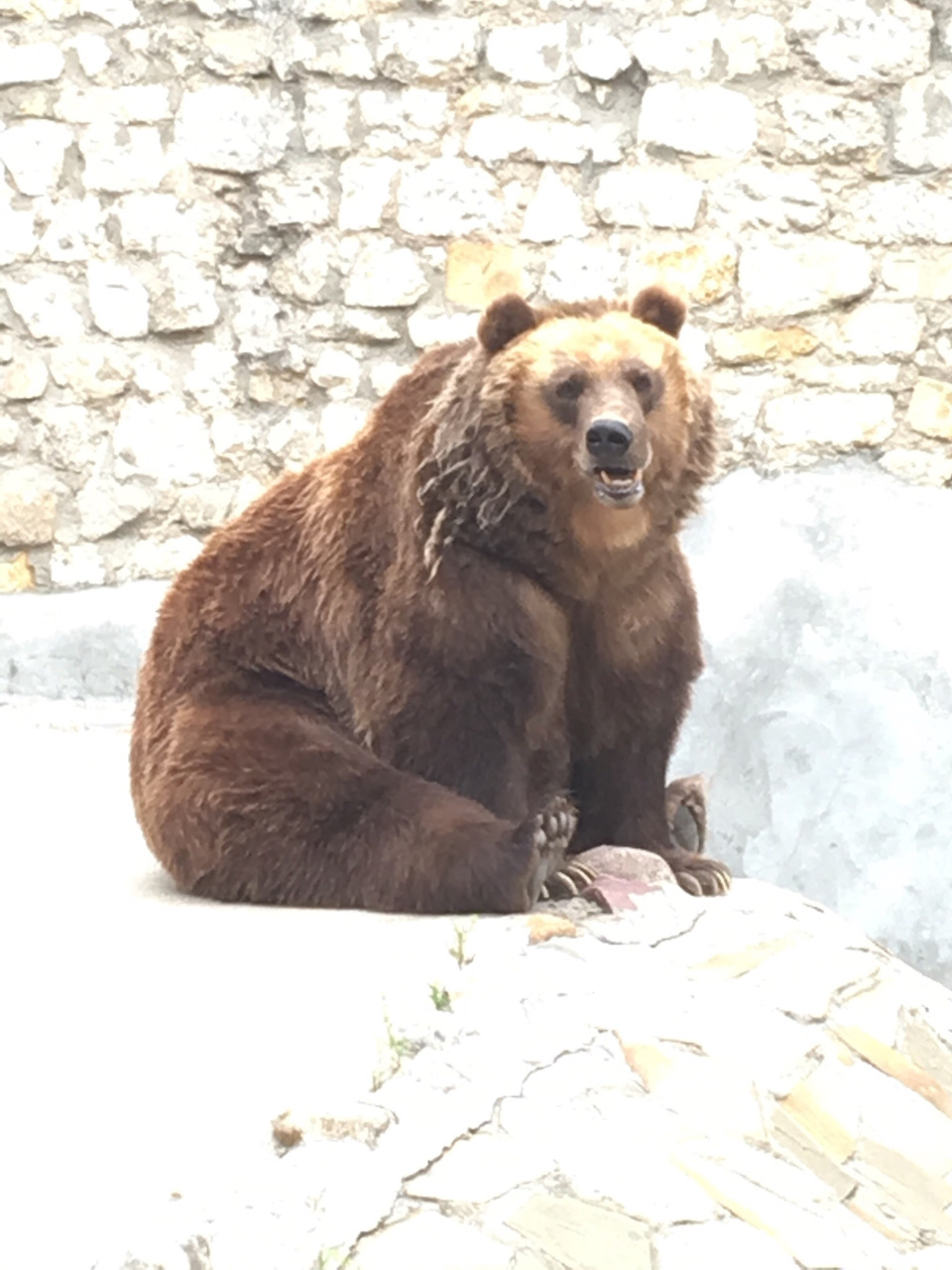 Фото в бортжурнале Lada Granta