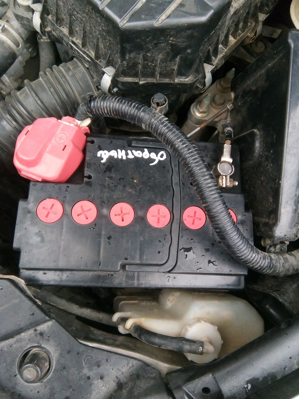 Стоит как родной — Honda Civic 4D (8G)