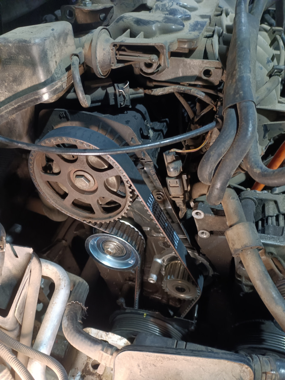 Фото в бортжурнале Skoda Octavia Combi A4 Mk1