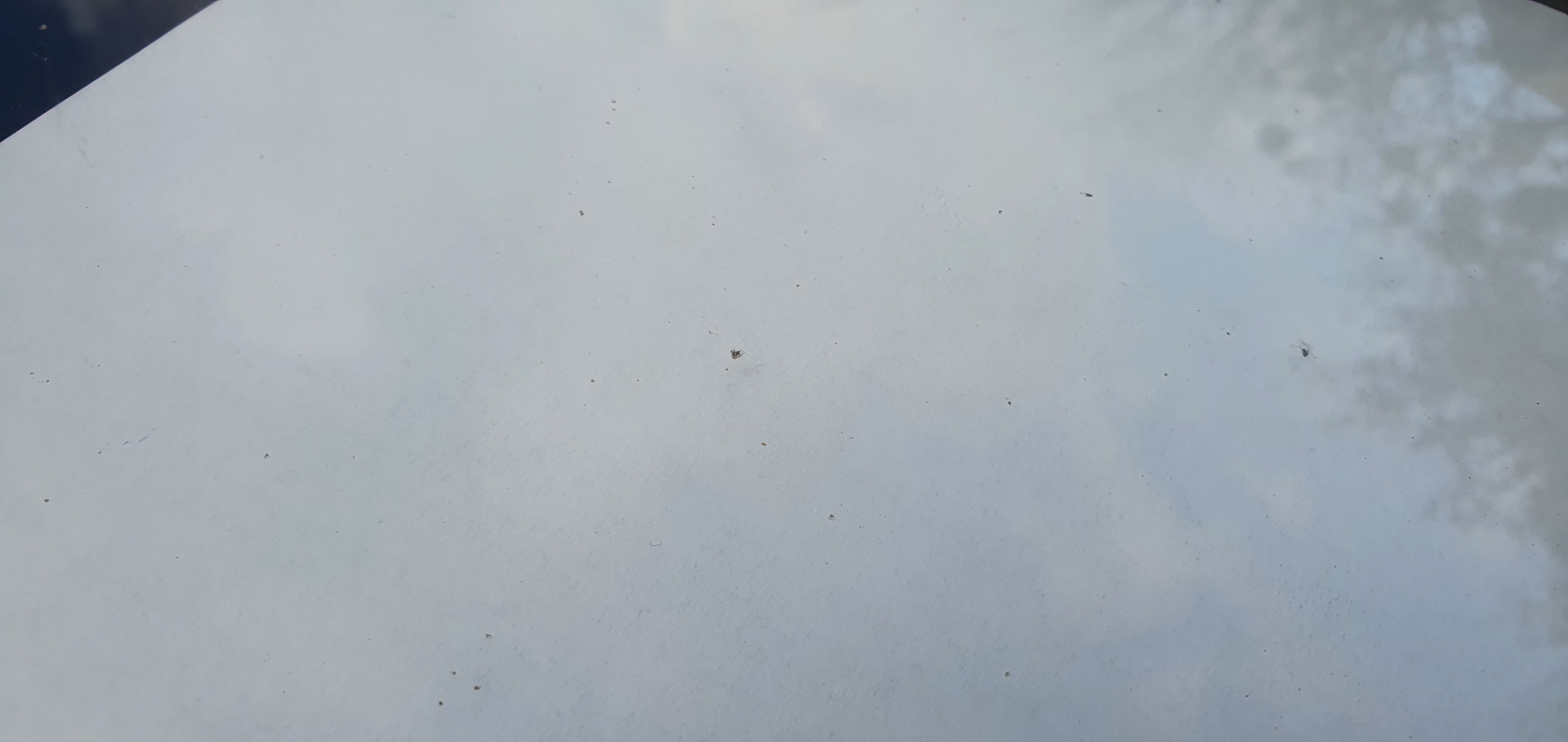 Замена масла в коробке. — KIA Sorento (2G), 2,4 л, 2012 года | визит на ...