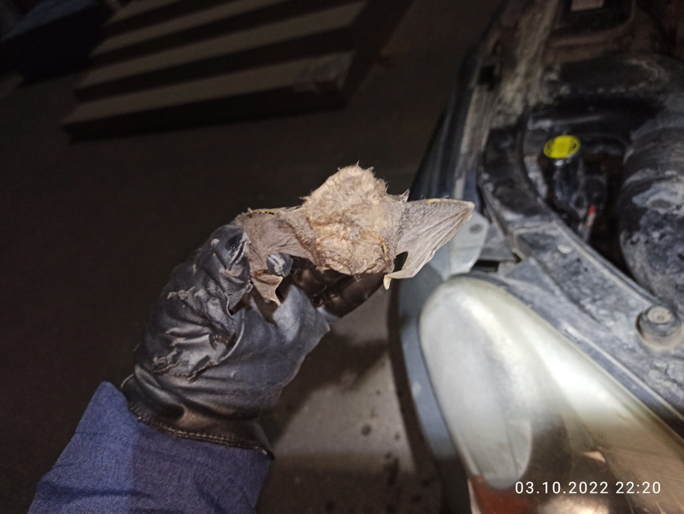 Фото в бортжурнале KIA Sportage (2G)