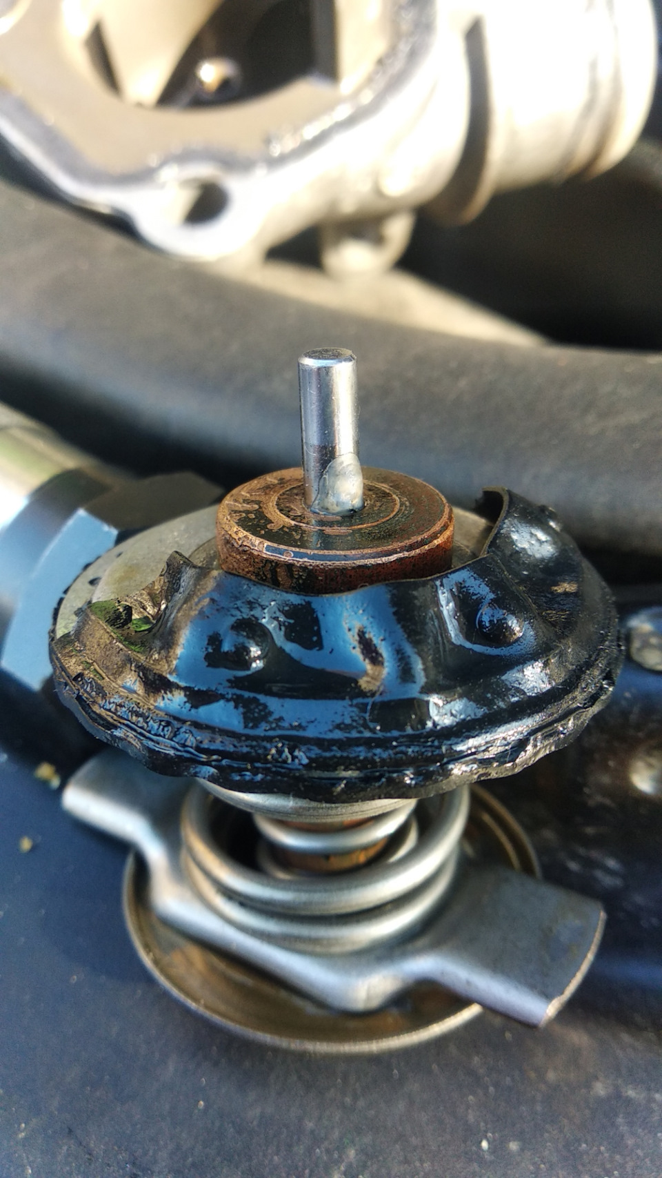 На штоке виден кусочек уплотнителя из корпуса — похоже элемент пострадал и внутри — Jeep Grand Cherokee (WK)