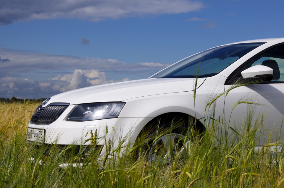 skoda octavia a 7