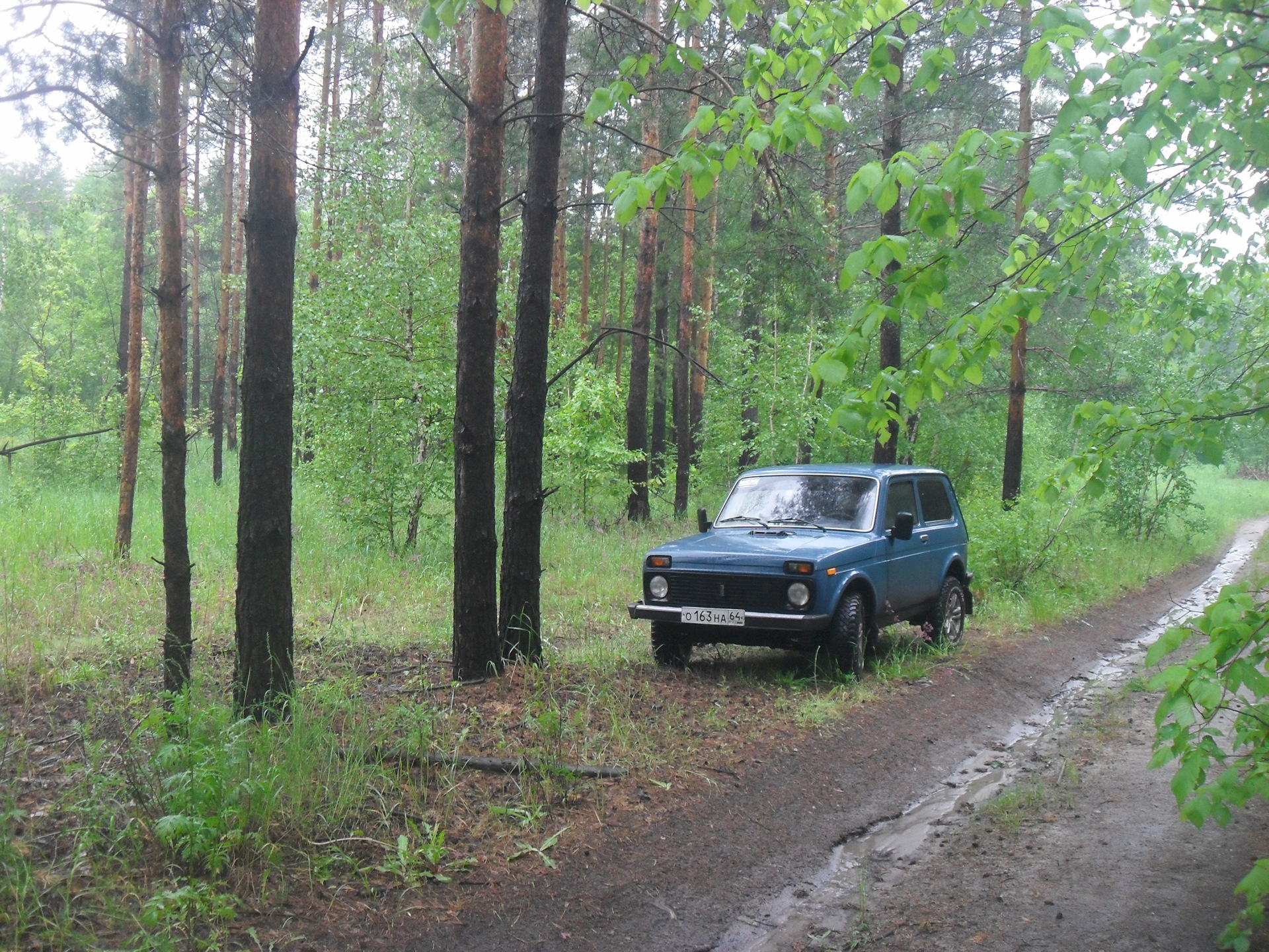 В лес по грибы и много воды. — Lada 4x4 3D, 1,7 л, 2007 года | покатушки |  DRIVE2