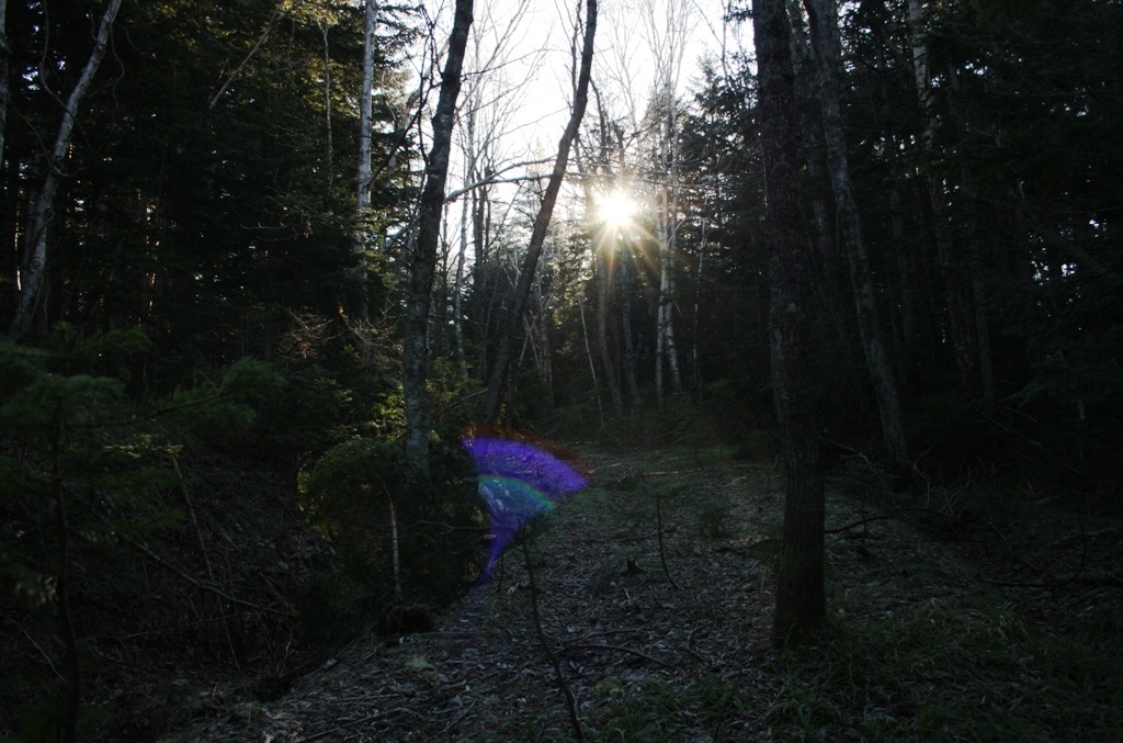 Фото в бортжурнале Nissan Safari (Y60)