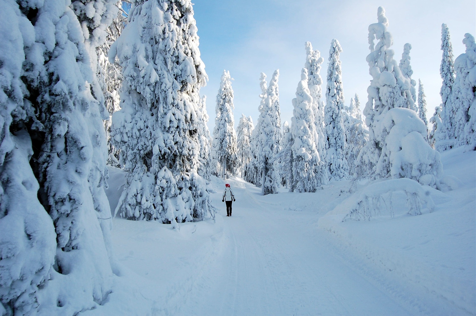 Зимния финляндия