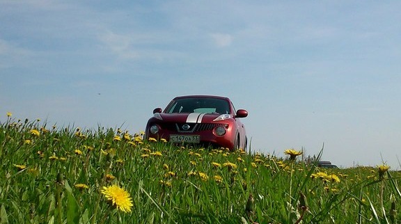 Nissan Juke (1G) 1.6 бензиновый 2012 | на DRIVE2