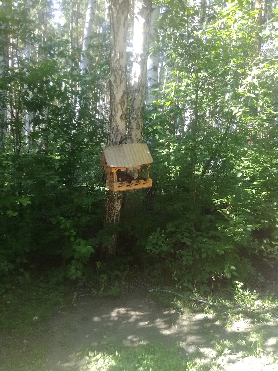 Фото в бортжурнале Haval H6 (1G)